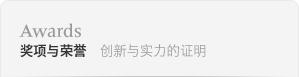 荣誉奖项