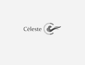 CELESTE标志设计