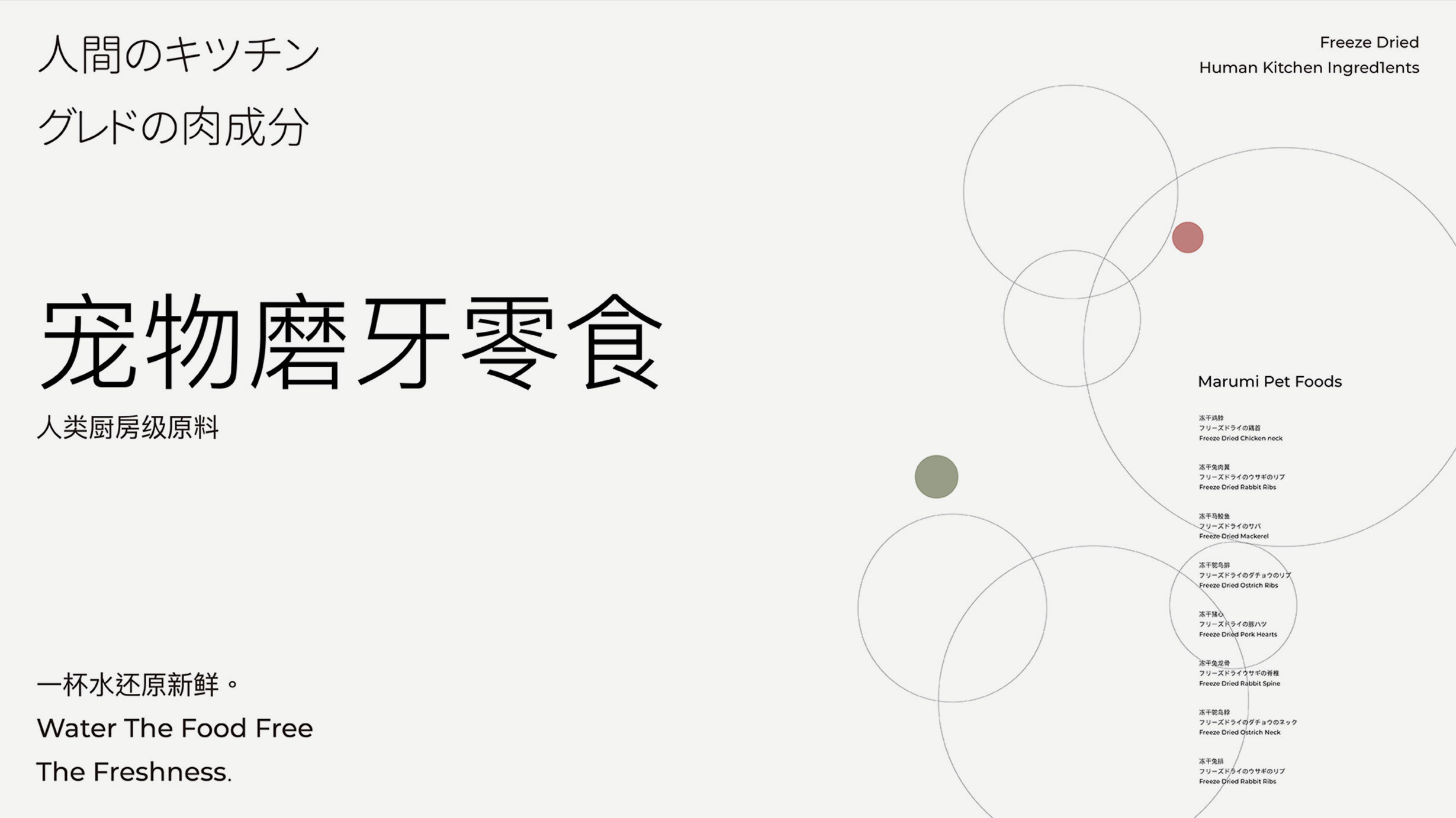 品牌形象系统设计