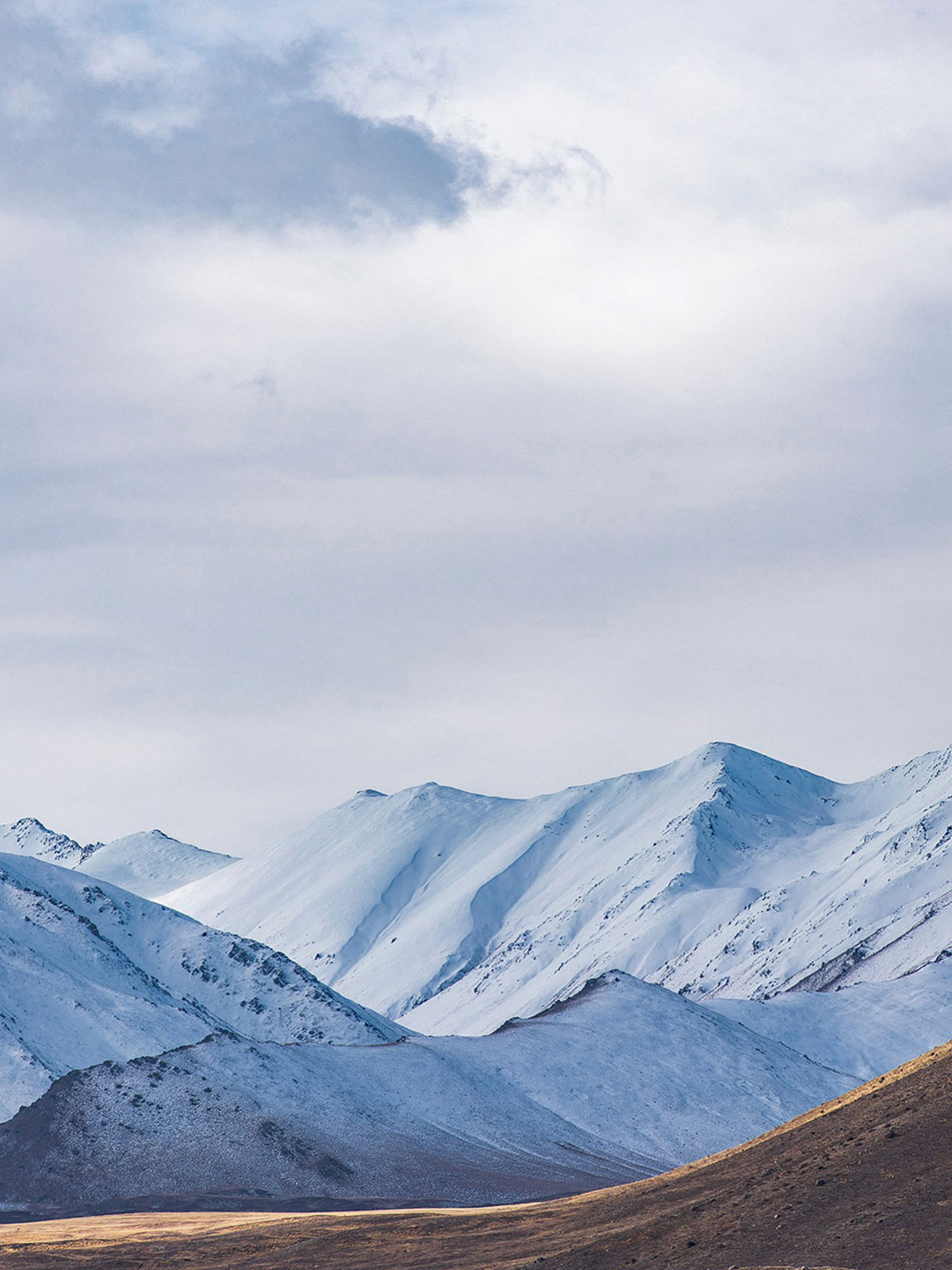 新西兰南岛冬季