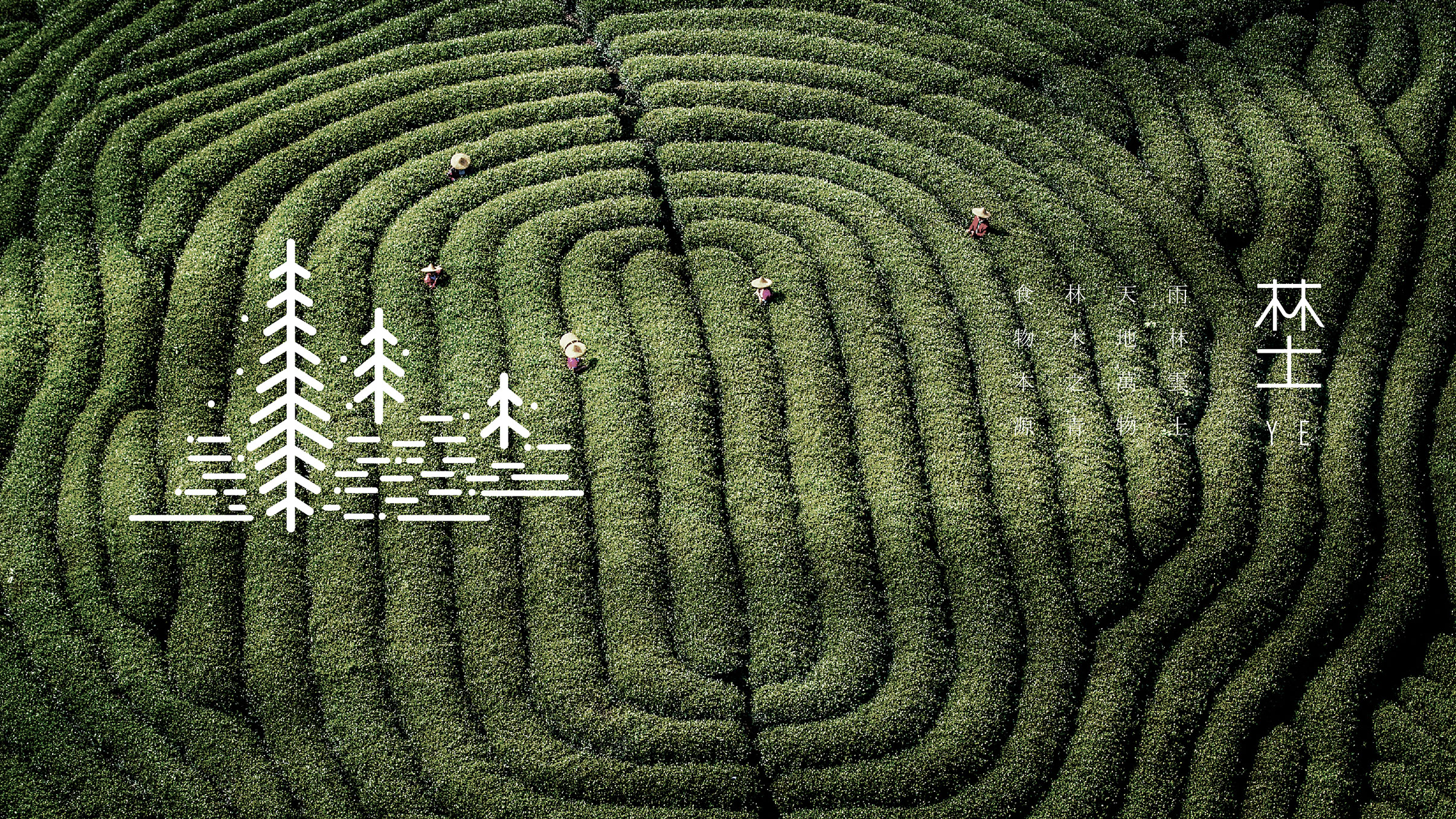 品牌形象系统设计