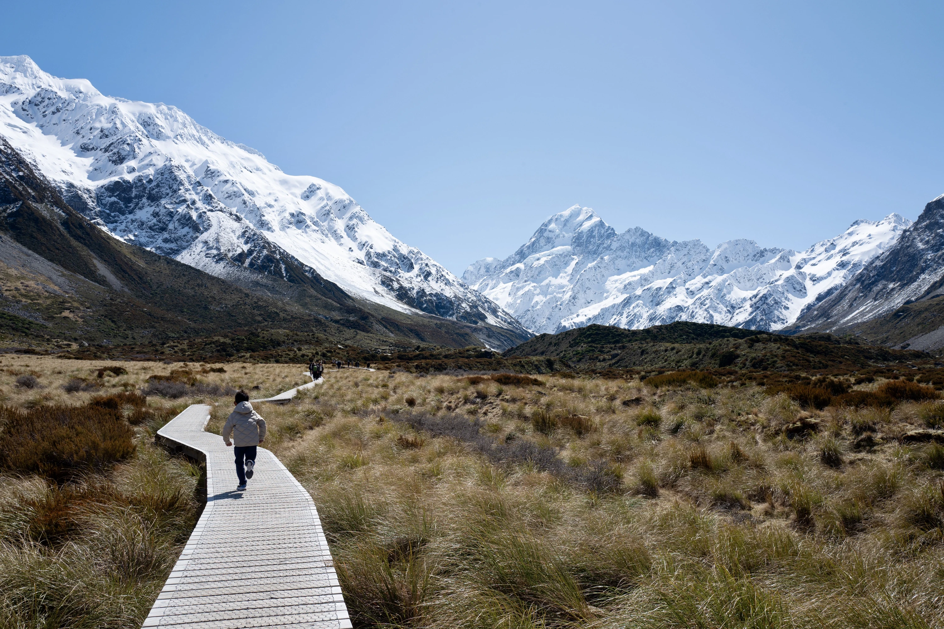 A high-country track leading towards Mount Cook