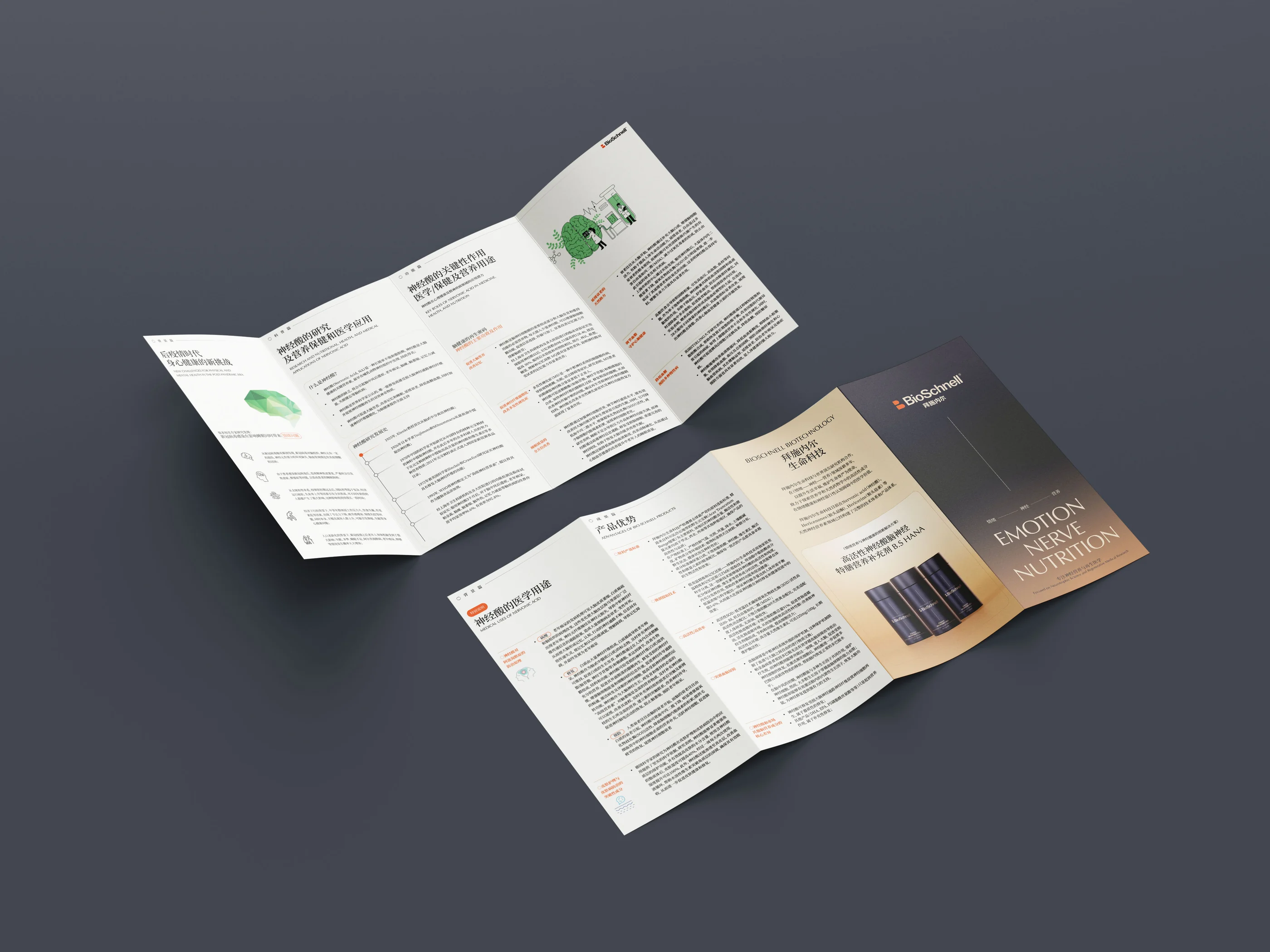 BioSchnell product foldout brochure and editorial layout