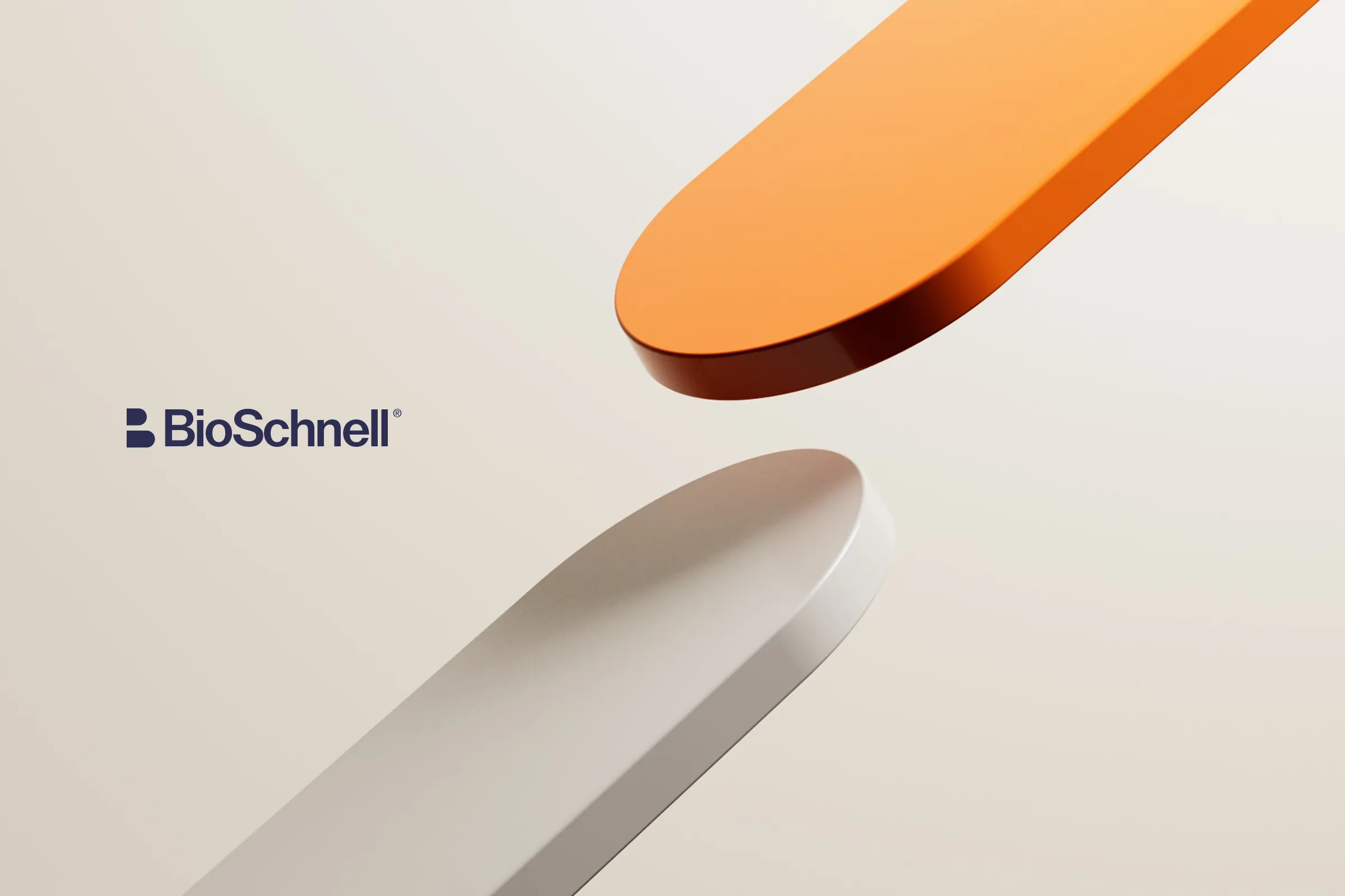 BioSchnell blue and green geometric identity graphics