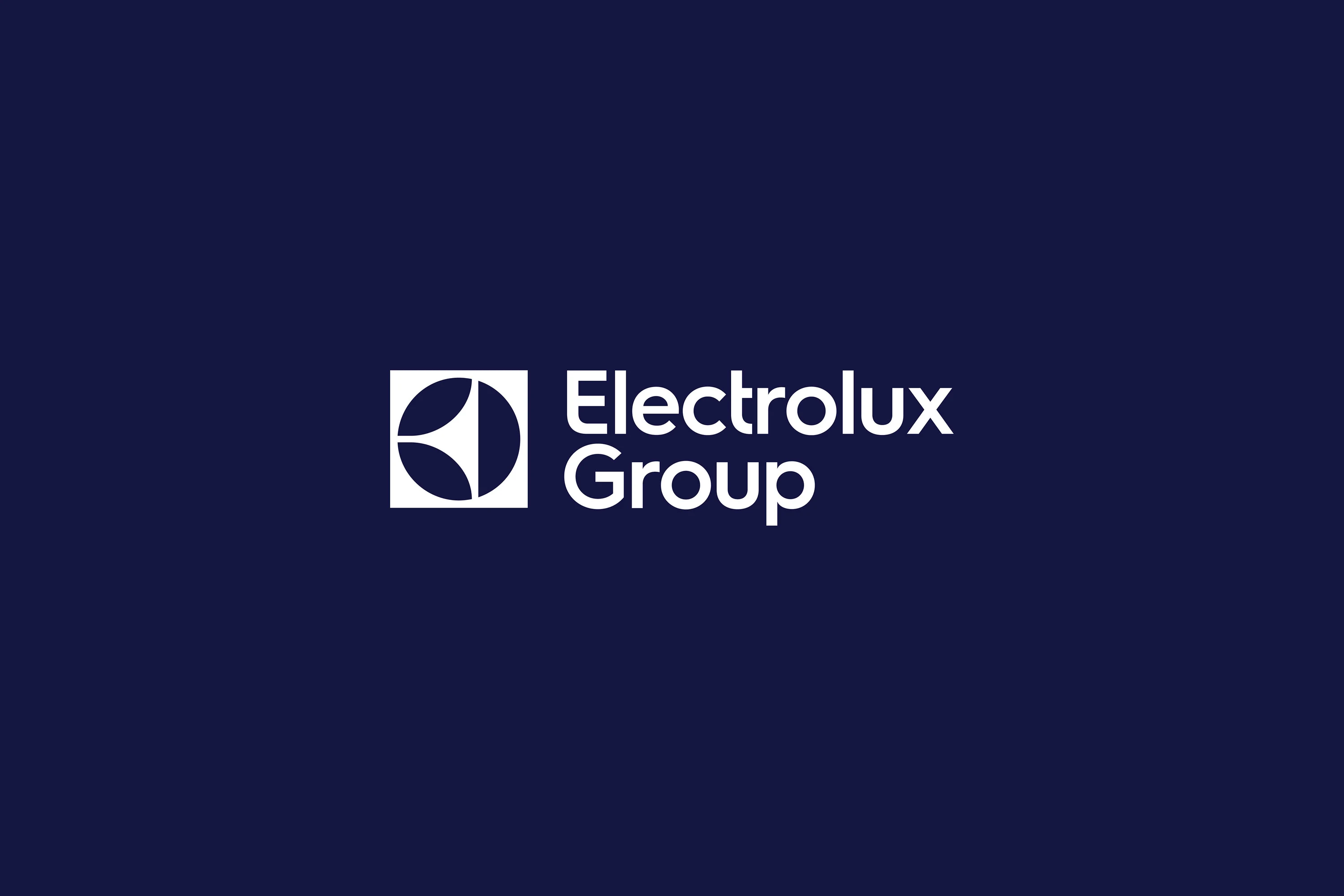 Electrolux booth product presentation design