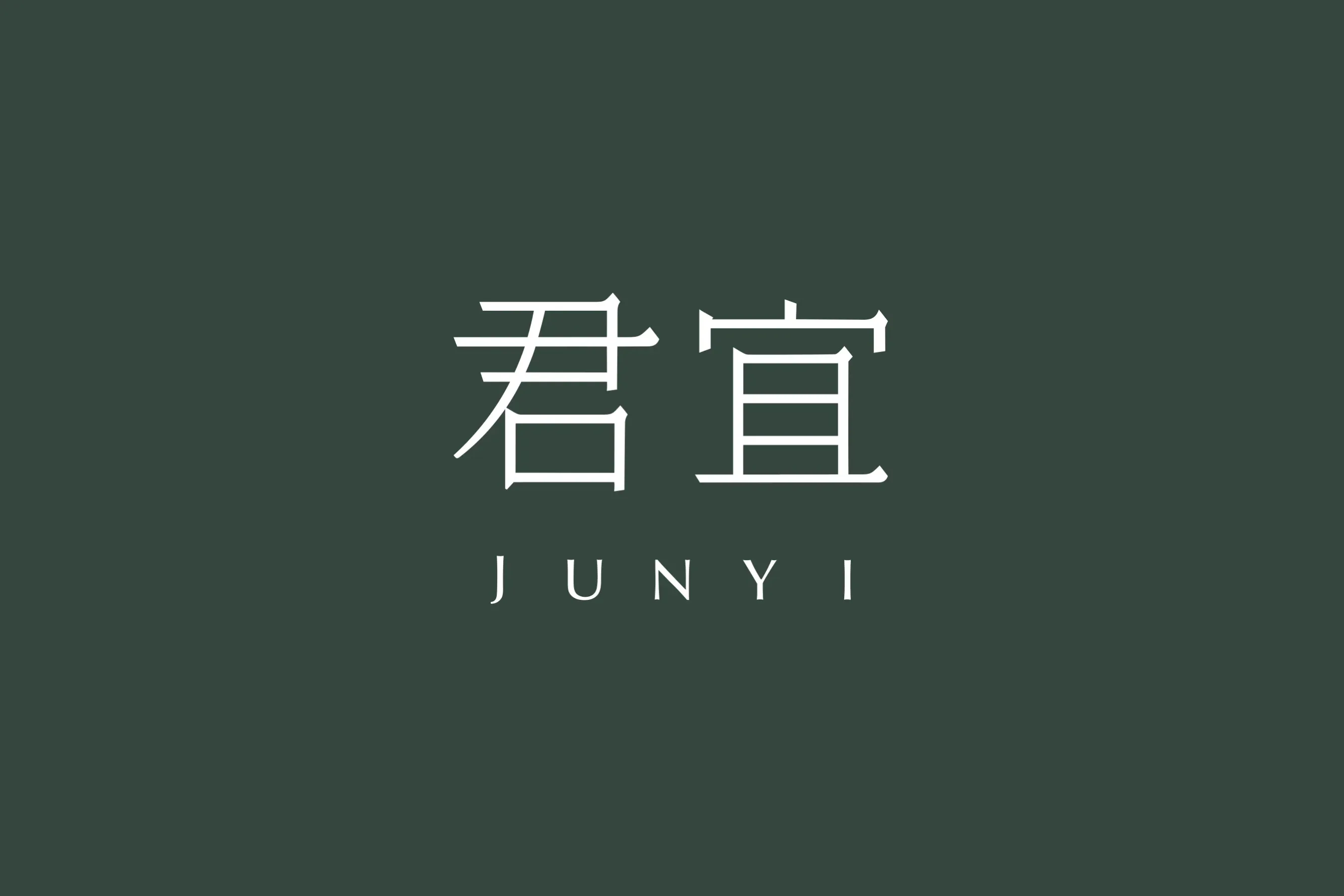 普洱茶视觉形象